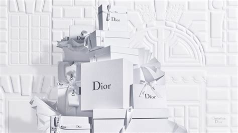 negozi dior in italia|dior official website.